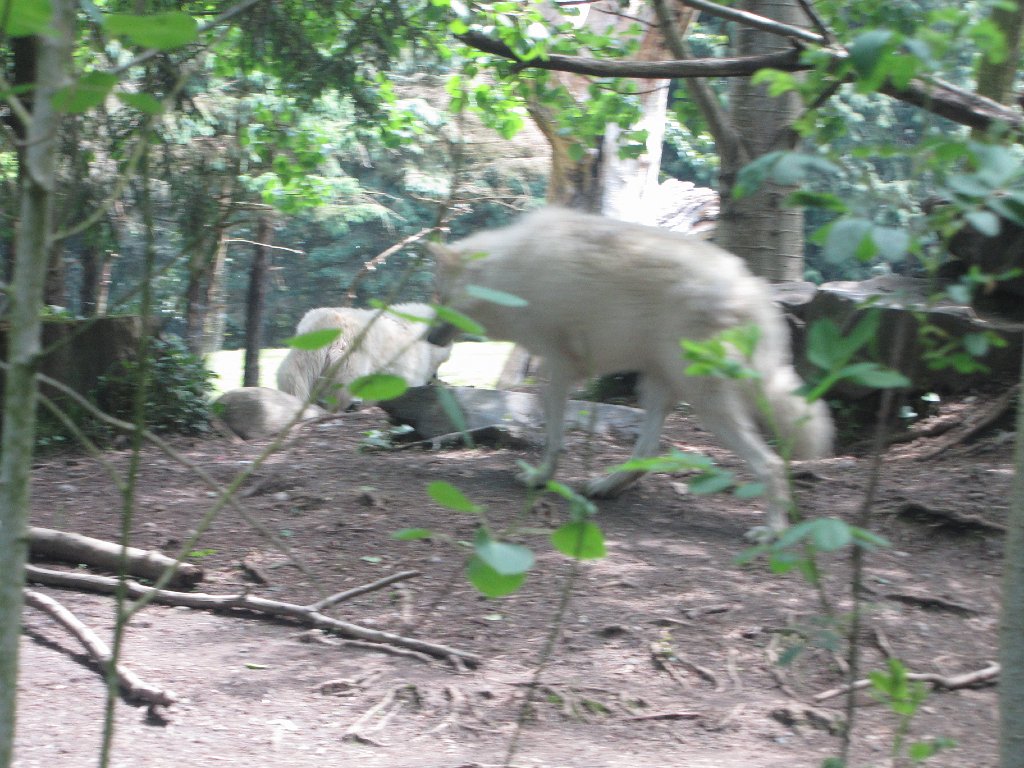 IMG 2815