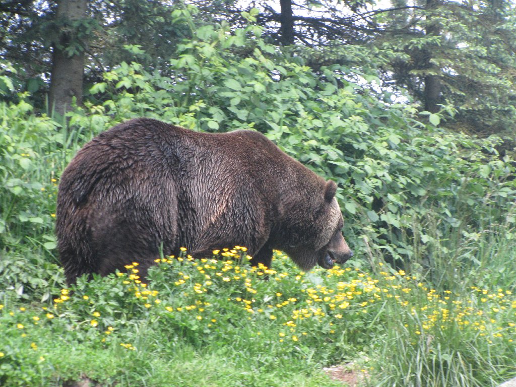 IMG 2834