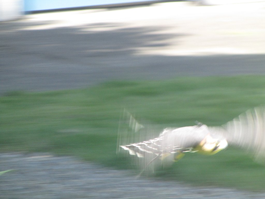 IMG 2906