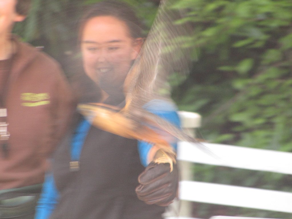 IMG 2907