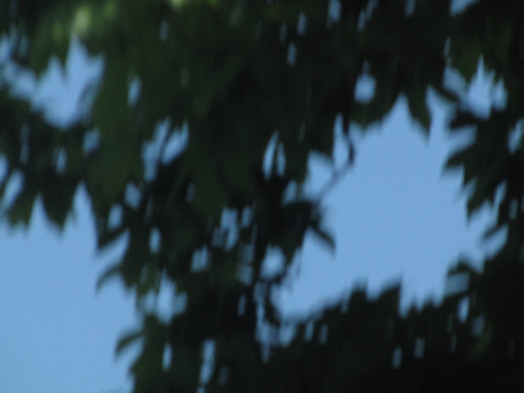 IMG 2913
