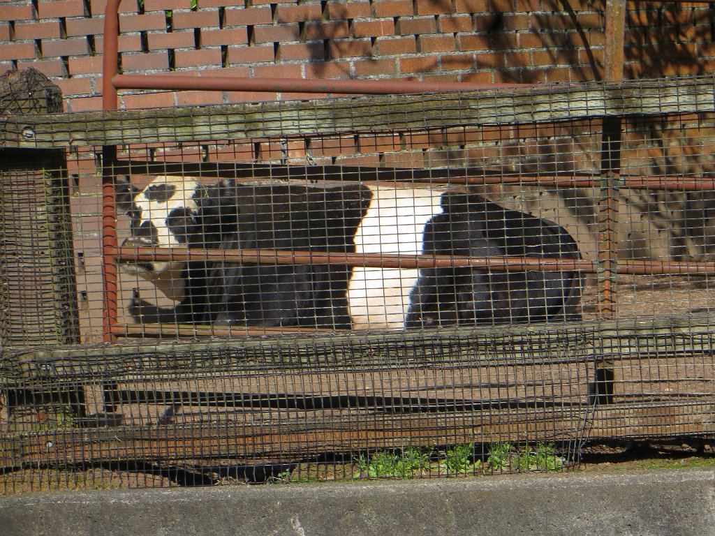 IMG 7408