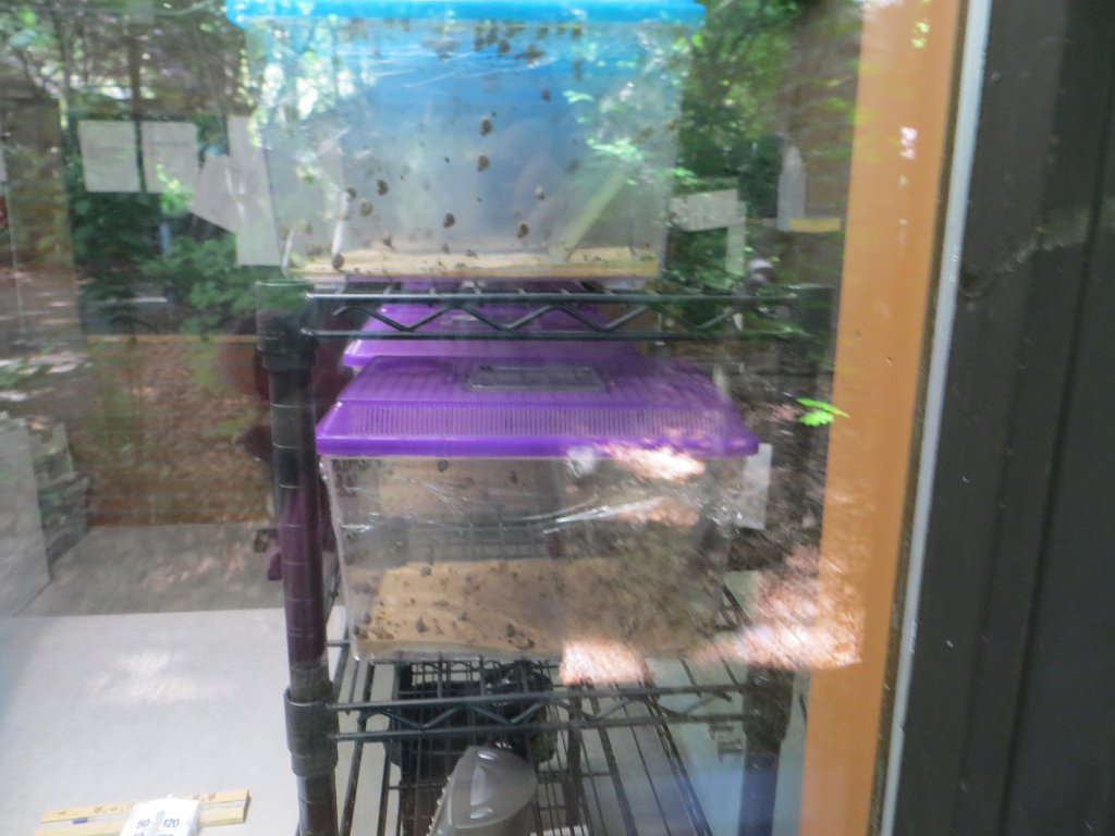 IMG 7414