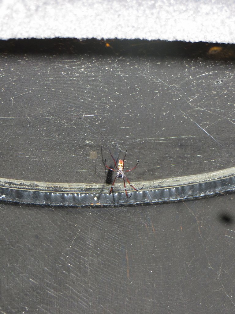 IMG 7436