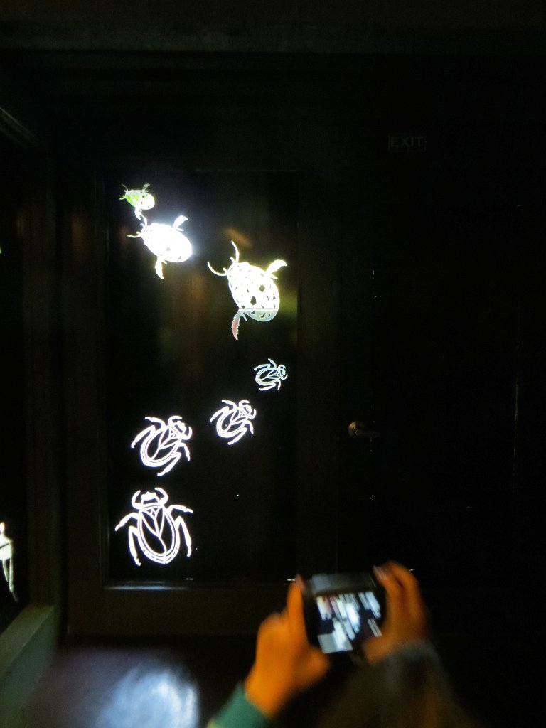 IMG 7442