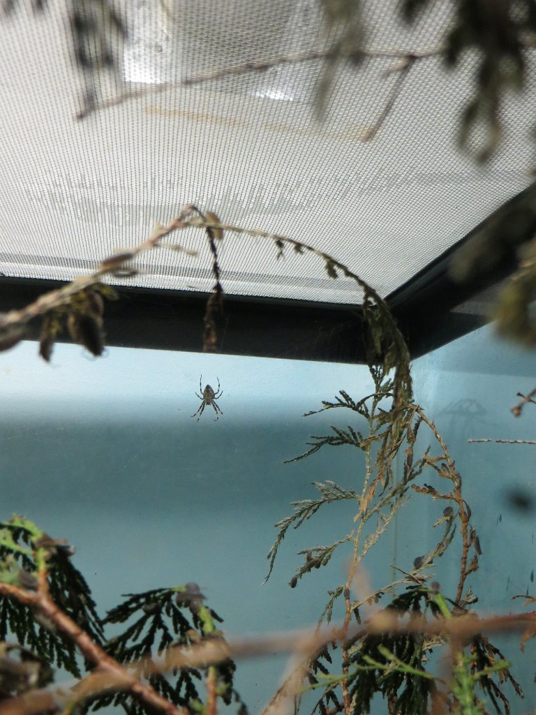 IMG 7447