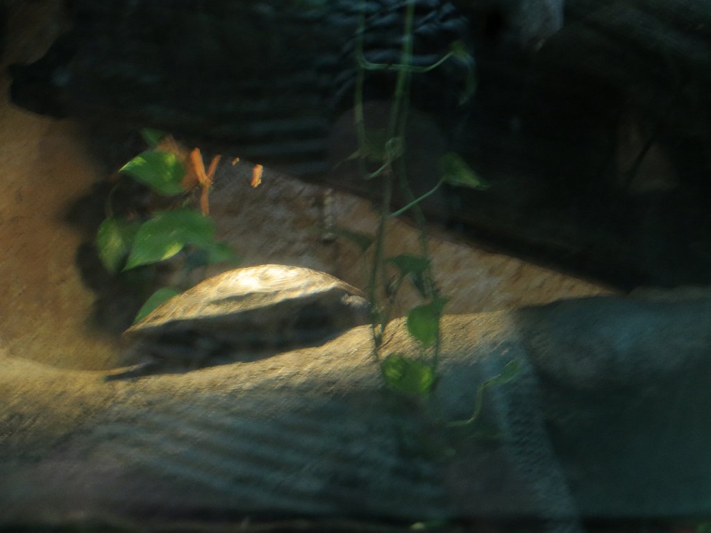 IMG 7459