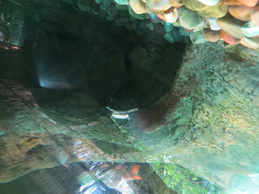 IMG 7463