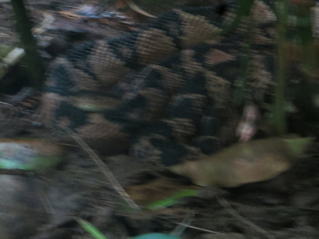 IMG 7468
