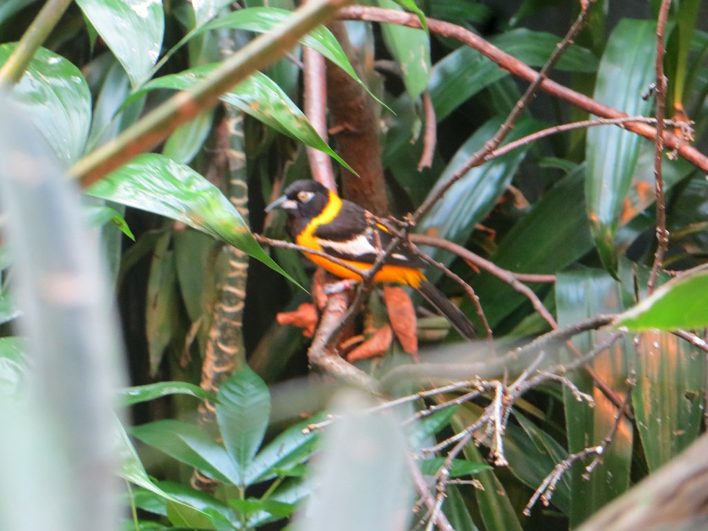 IMG 7477