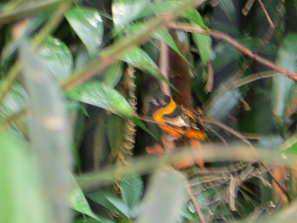 IMG 7478
