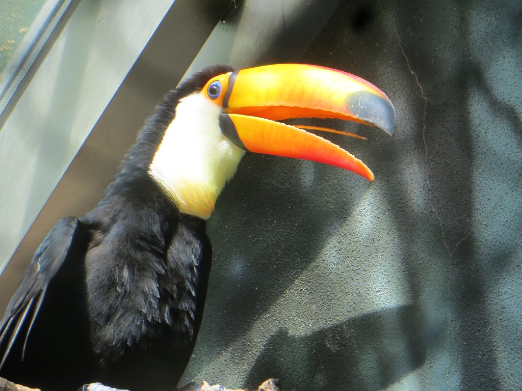 IMG 7495