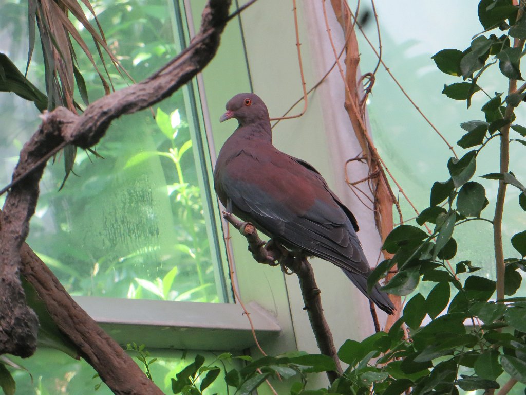 IMG 7514