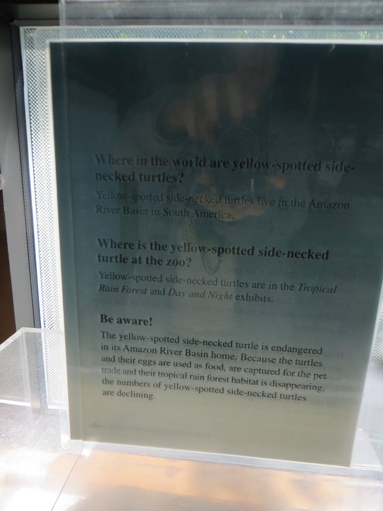IMG 7518