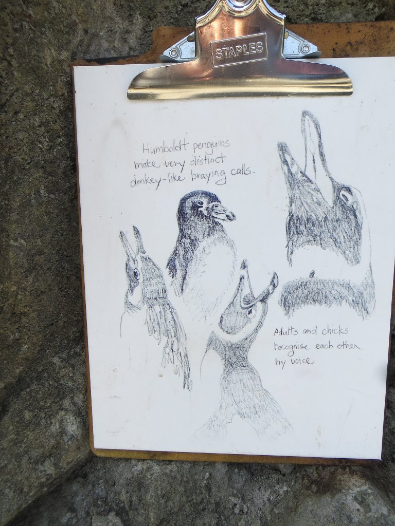 IMG 7533