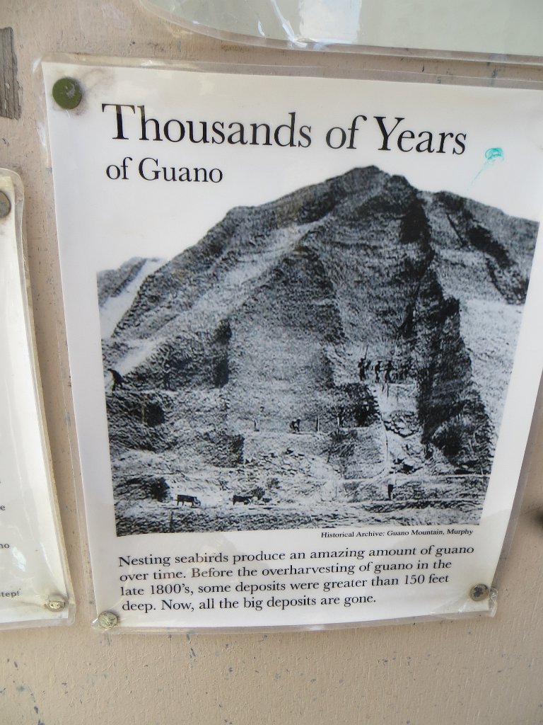IMG 7548