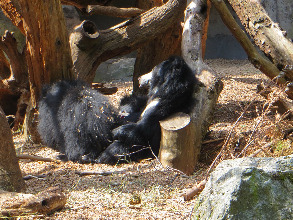 IMG 7552