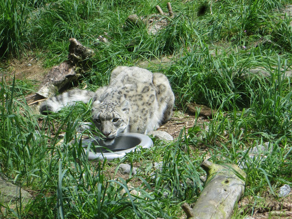 IMG 7553