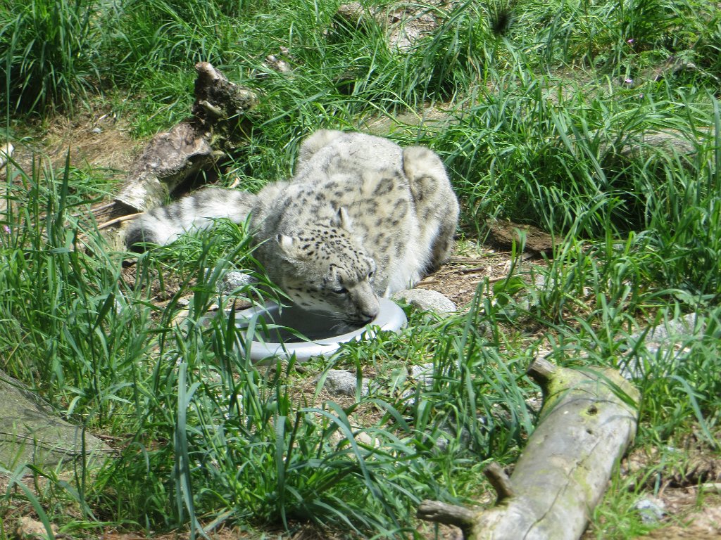 IMG 7554
