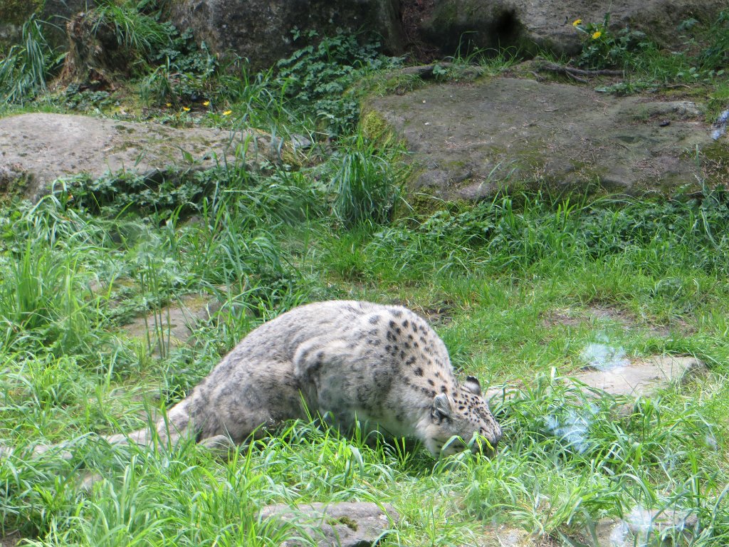 IMG 7555