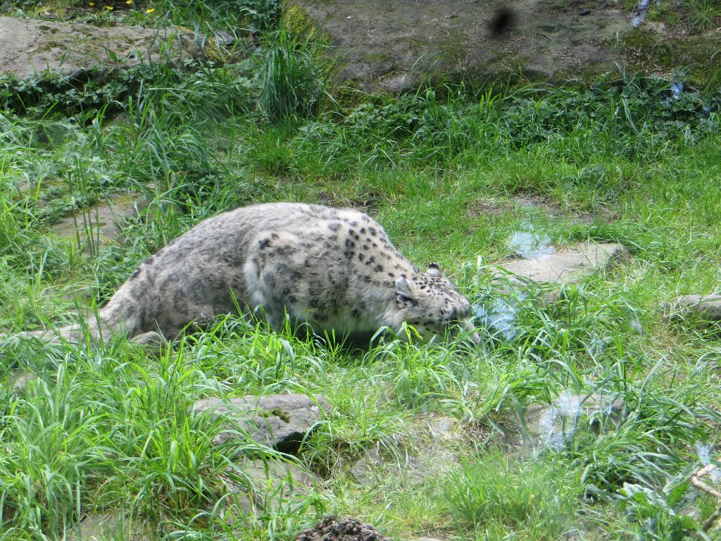 IMG 7556
