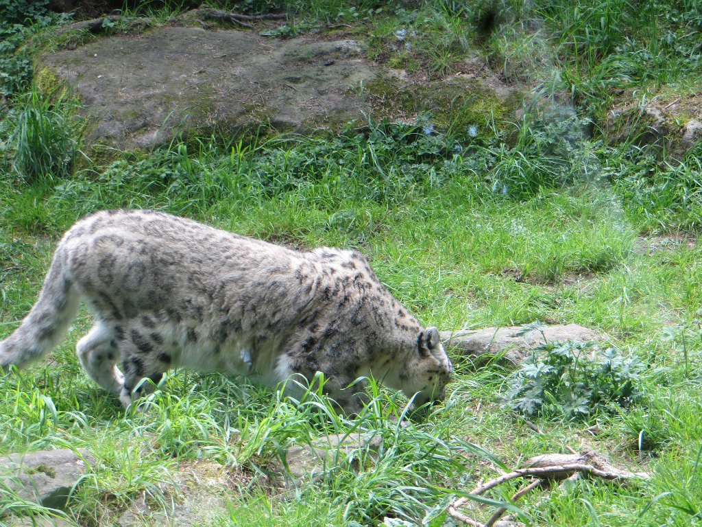 IMG 7557