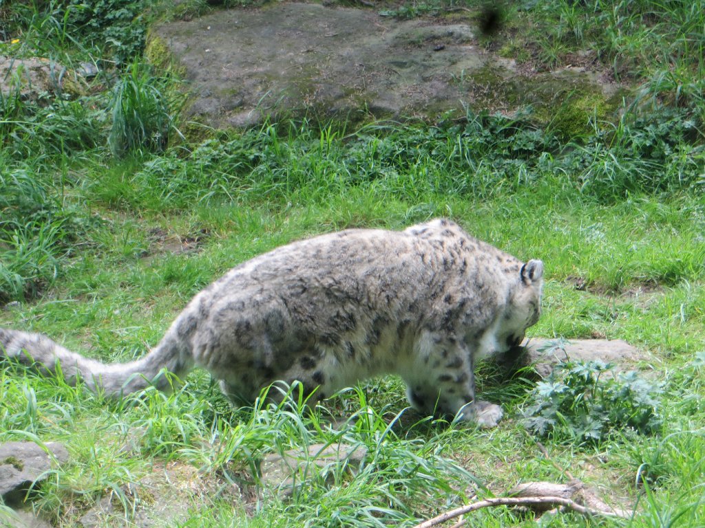 IMG 7558