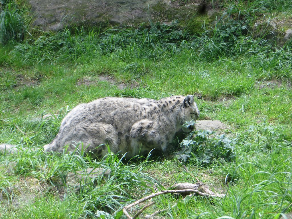 IMG 7560