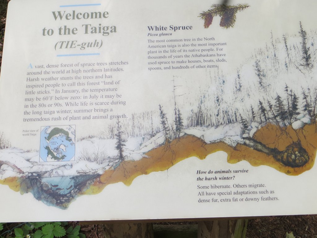 IMG 7576