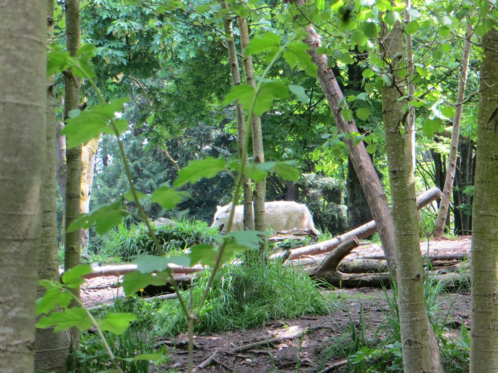 IMG 7581