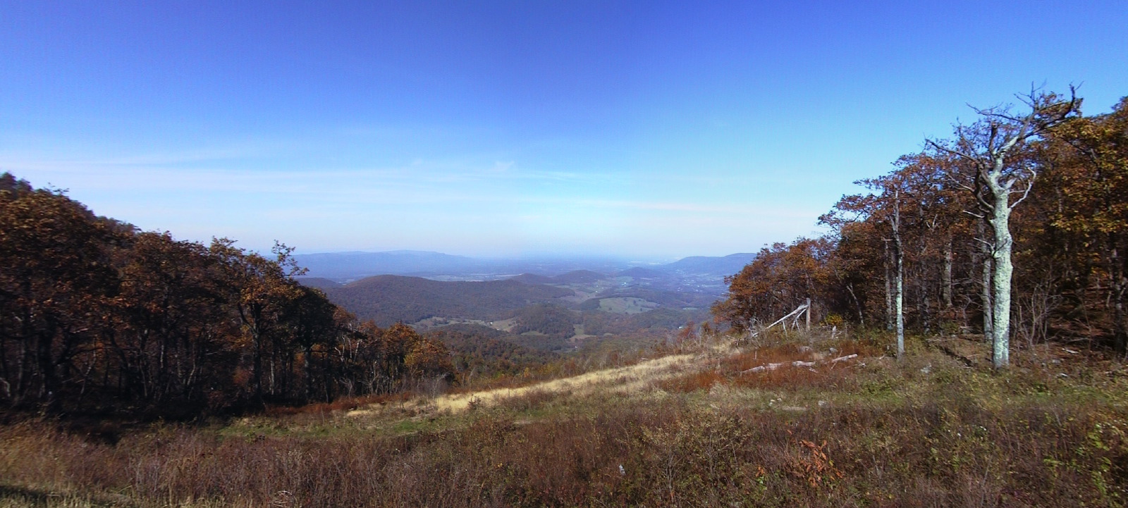 LittleHogbackOverlook.jpg