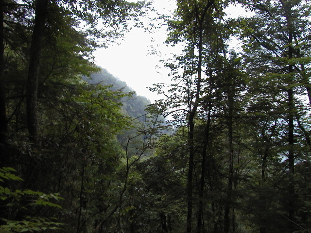 aut_2546.jpg