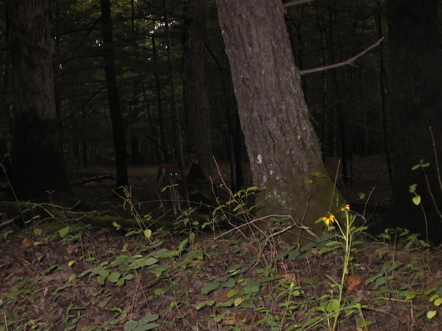 aut_2745.jpg
