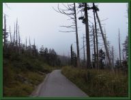 AUT_2308.JPG