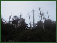 AUT_2316.JPG