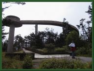 AUT_2318.JPG