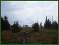 AUT_2386.JPG