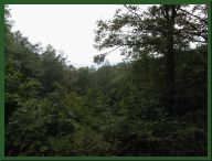 AUT_2570.JPG