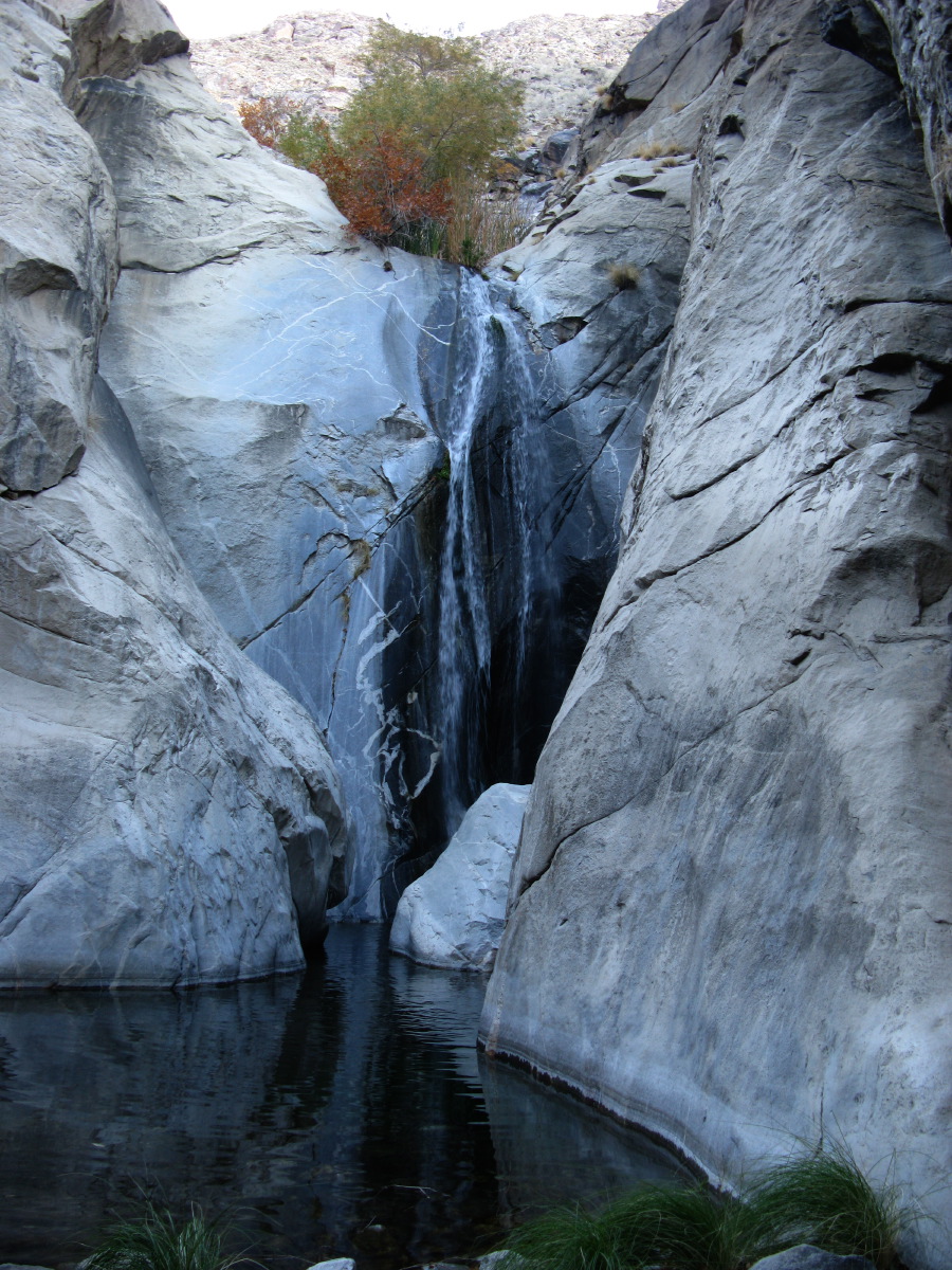 IMG_2346.JPG