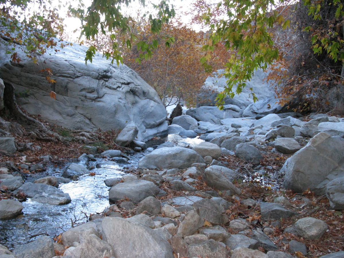IMG_2356.JPG