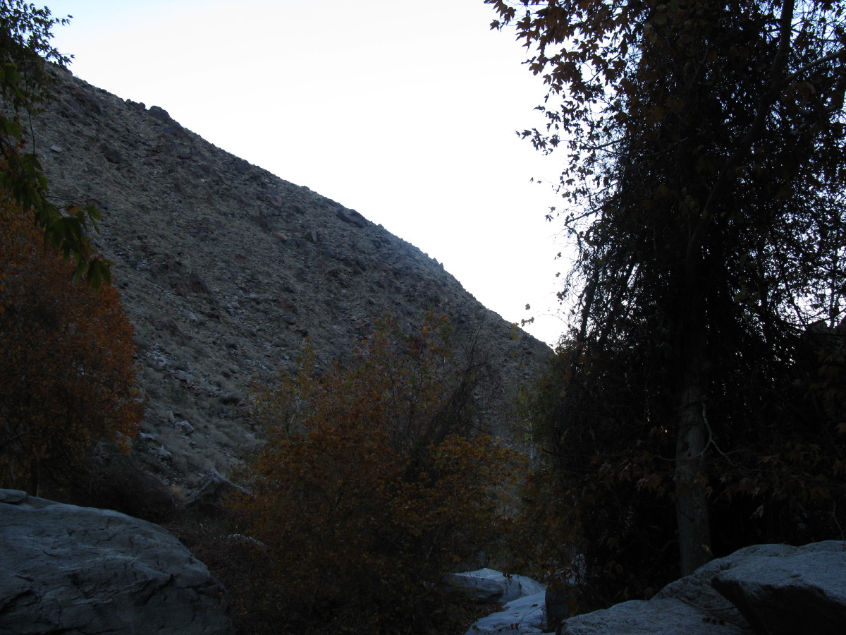 IMG_2359.JPG
