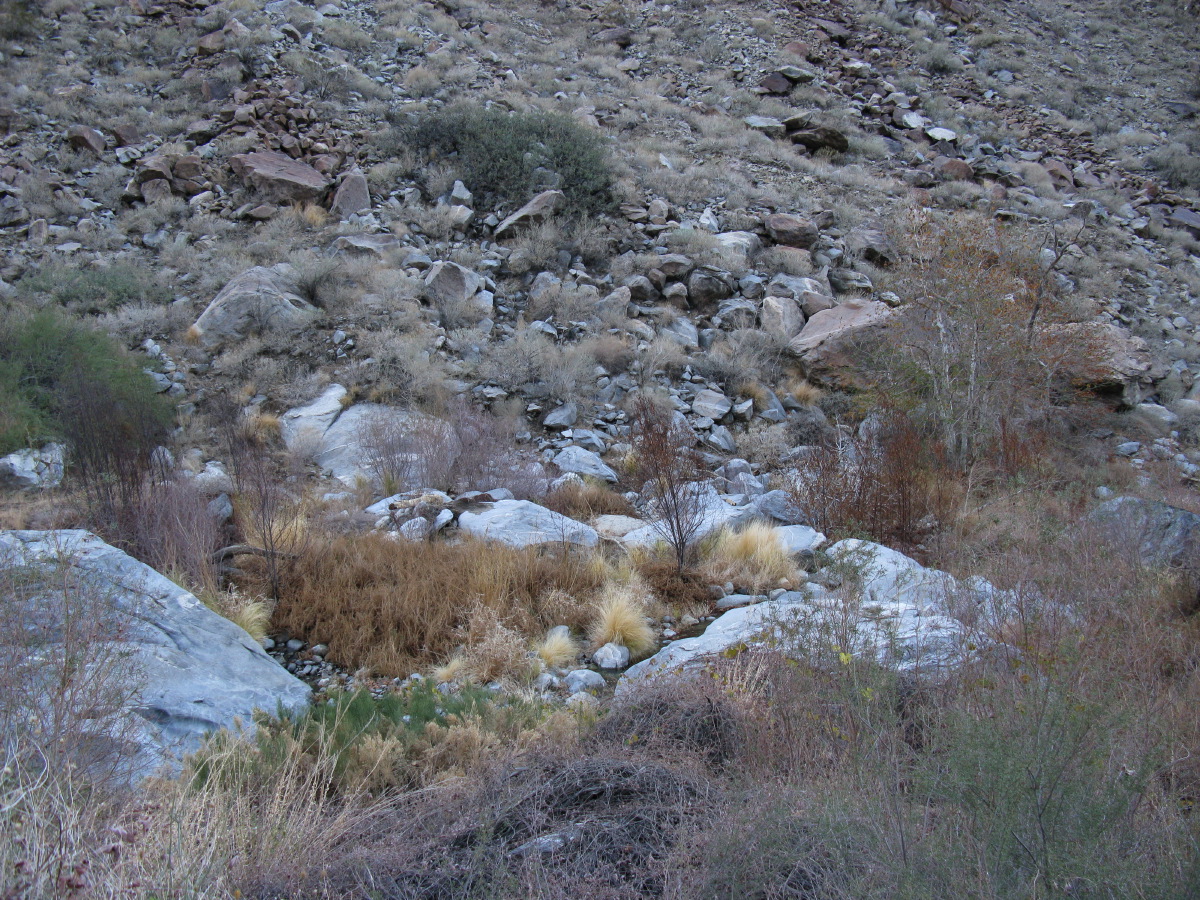IMG_2366.JPG
