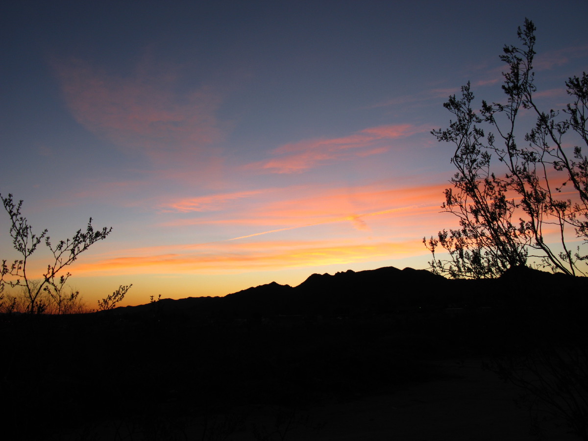 IMG_2395.JPG