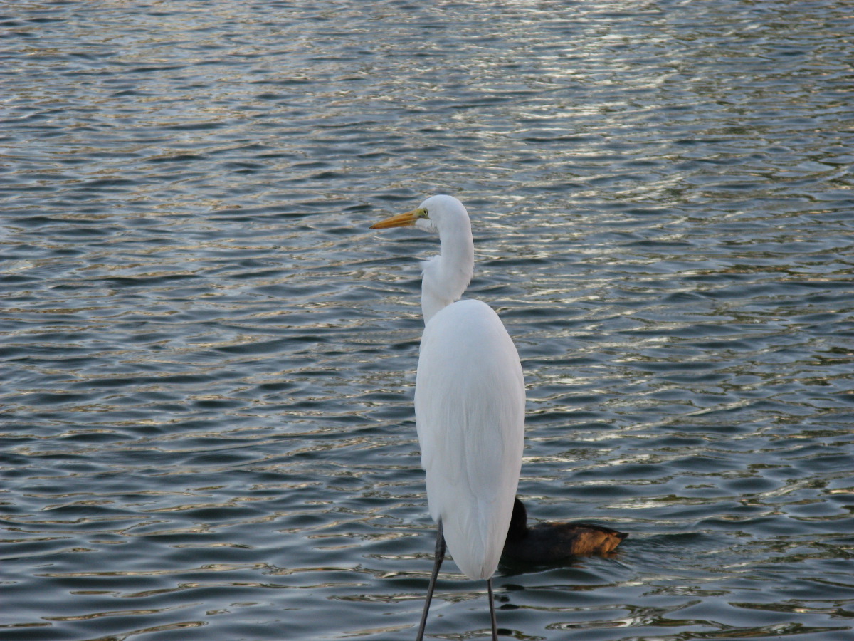 IMG_2999.JPG