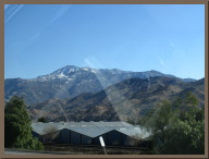 IMG_2315.JPG