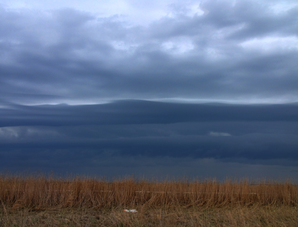 IMG_1279_8_7_tonemapped.jpg
