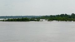 IMG_9436 Flooded Arkansas River, Muskogee, OK