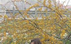 IMG_7856