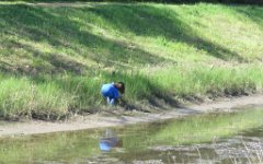 IMG_1301