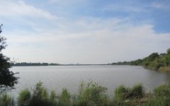 IMG_0636